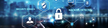 Can You Spot a Phishing Scam?