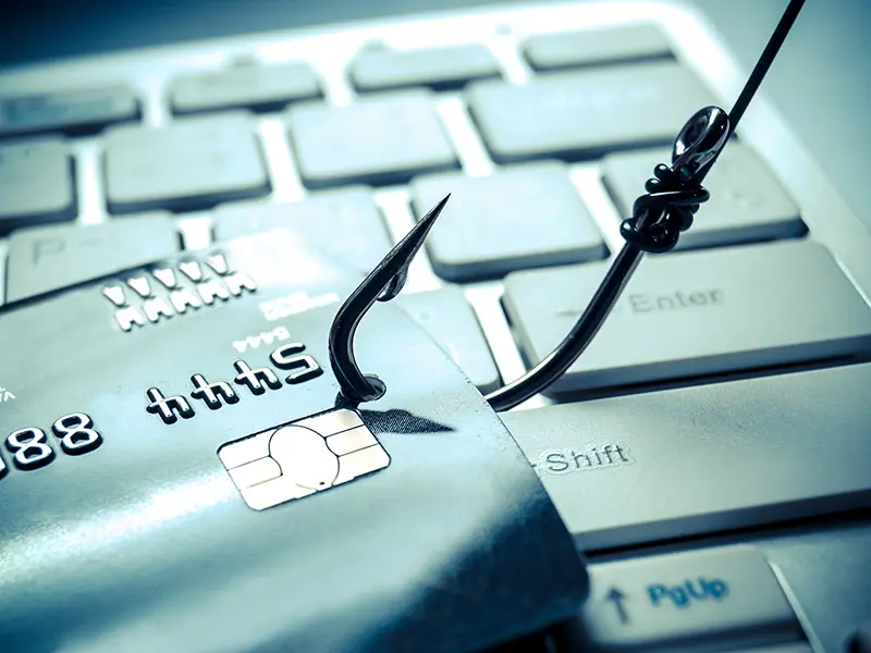 phishing credit card information